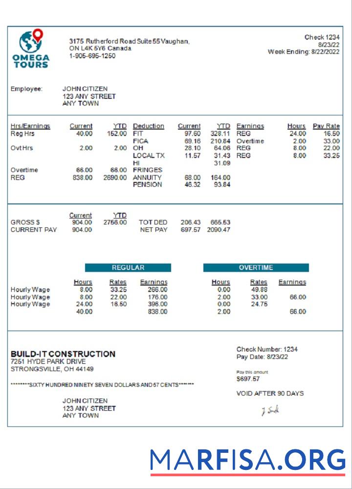 Printable USA Omega Tours tourism company pay stub download for verification